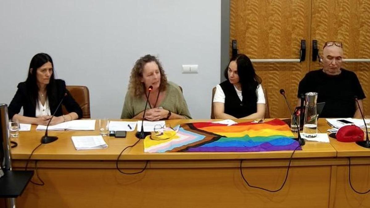La bancada de Izquierda Unida, durante el pleno, con la bandera LGTBIQA+.