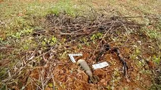 Desactivada una granada de mortero en una finca agrícola de Almendralejo