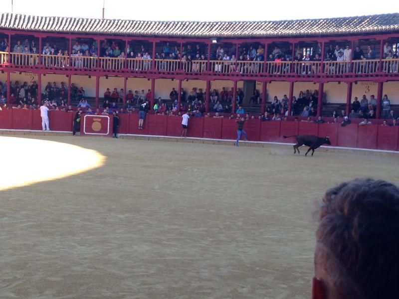 Toro de cajón y encierro urbano en Toro