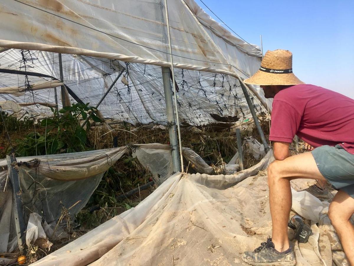 Los agricultores de Pilar de la Horadada hacen balance de daños