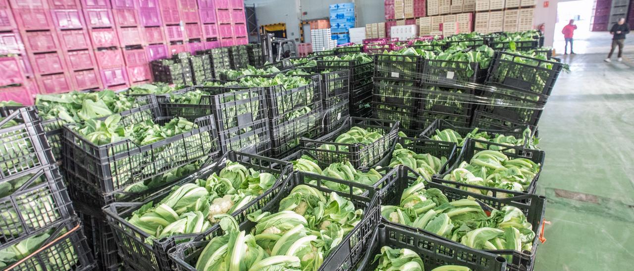 El sector agroalimentario sigue tirando de las ventas al exterior