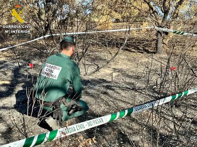 La Guardia Civil investiga a un vecino de Talarrubias por dos incendios forestales intencionados