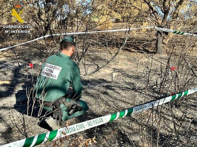 Un agente de la Guardia Civil inspecciona el origen de uno de los incendios.