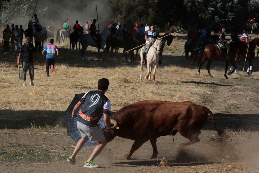 Encierro mixto en San Miguel de la Ribera