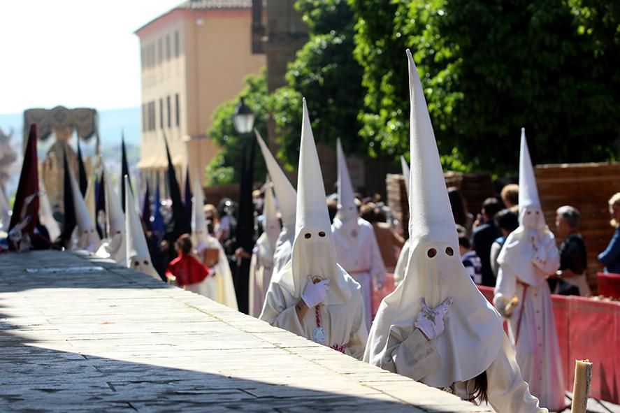 Fotogalería / La borriquita estrena la 'nueva' Semana Santa de Córdoba