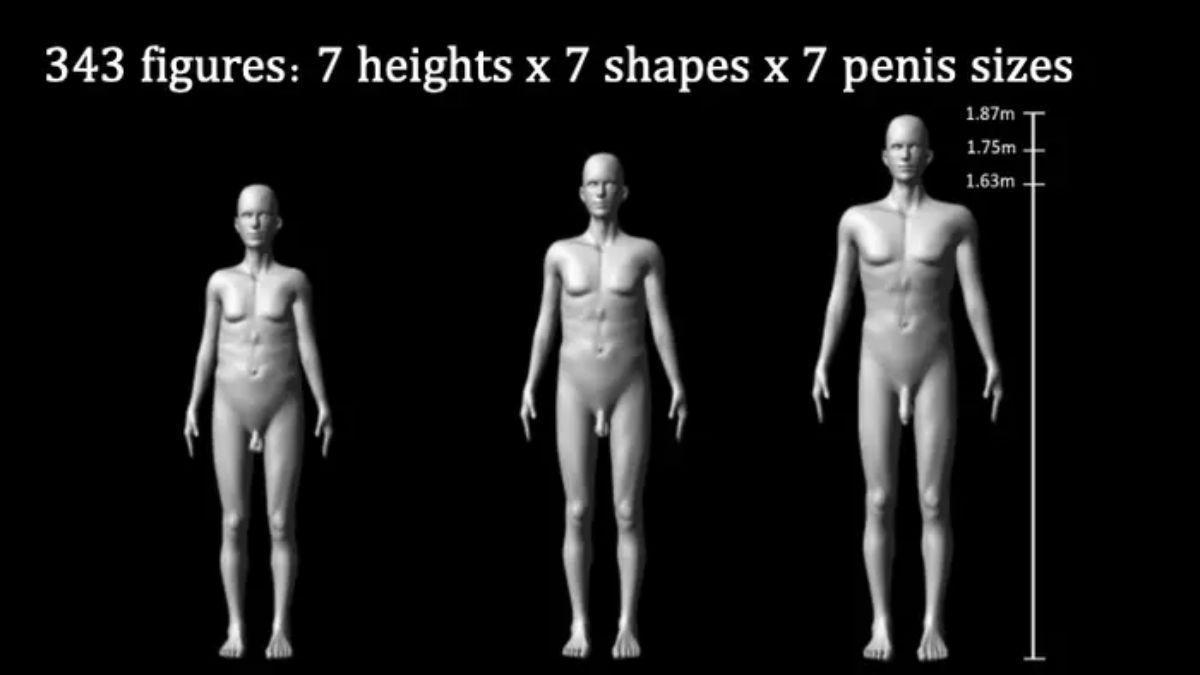 Un experimento con modelos digitales apunta a que el tamaño del pene pudo ser favorecido por la selección sexual femenina y la rivalidad masculina.