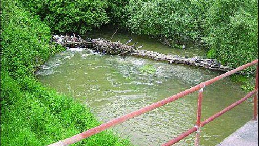 Un tronco caído sobre el cauce del río Nora, junto al puente de Las Folgueras.