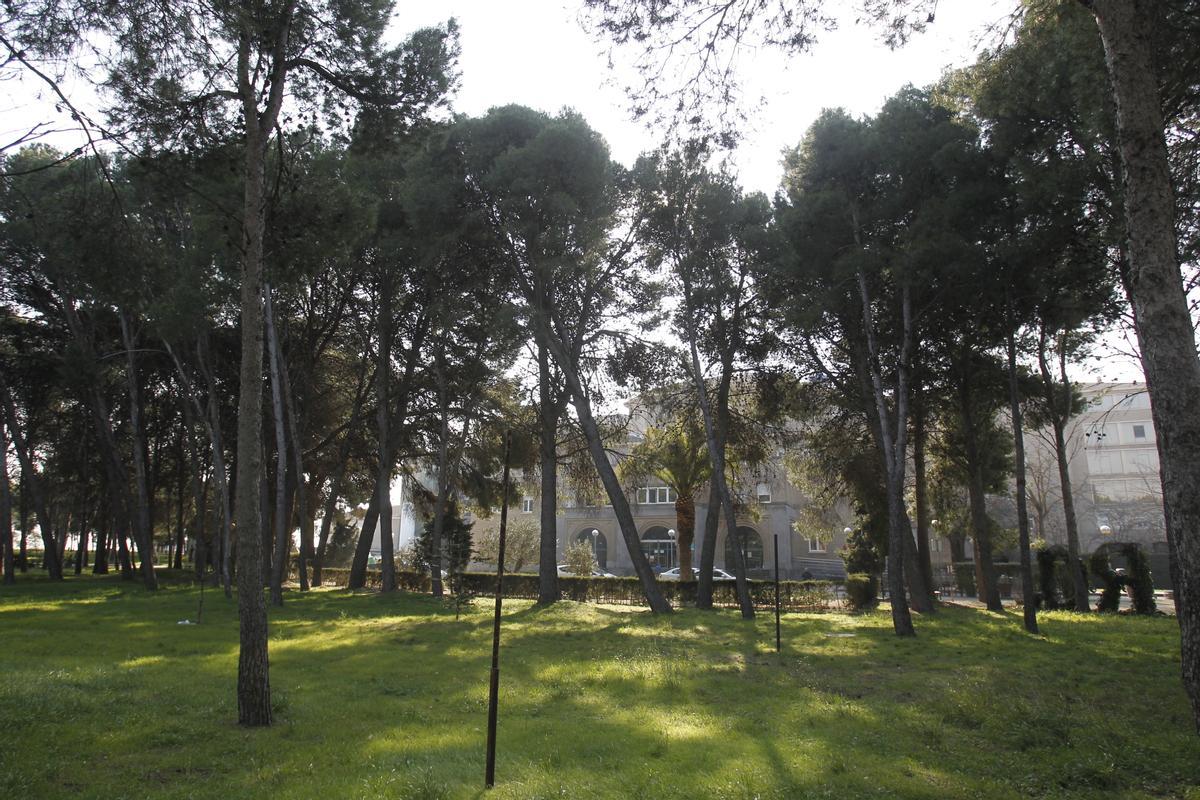 El hospital está rodeado de pinos y de una zona verde.