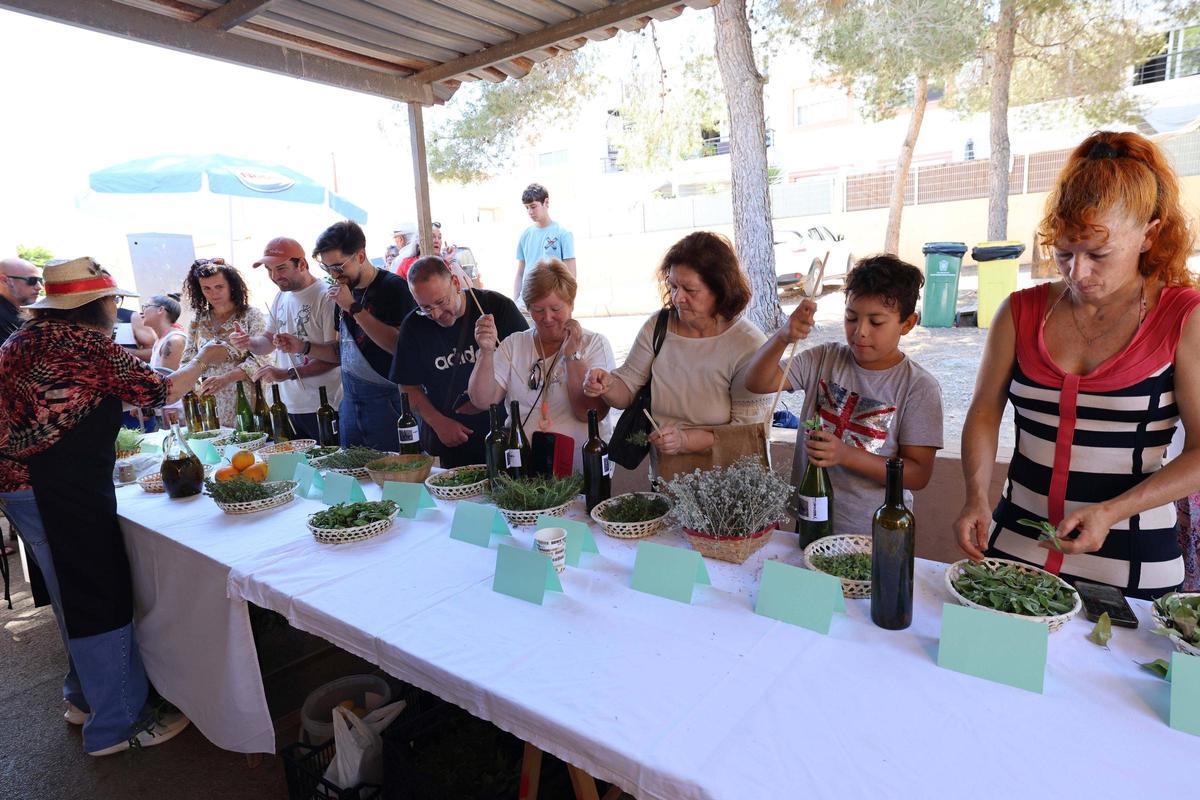 Taller de elaboración de hierbas ibicencas en Can Bonet