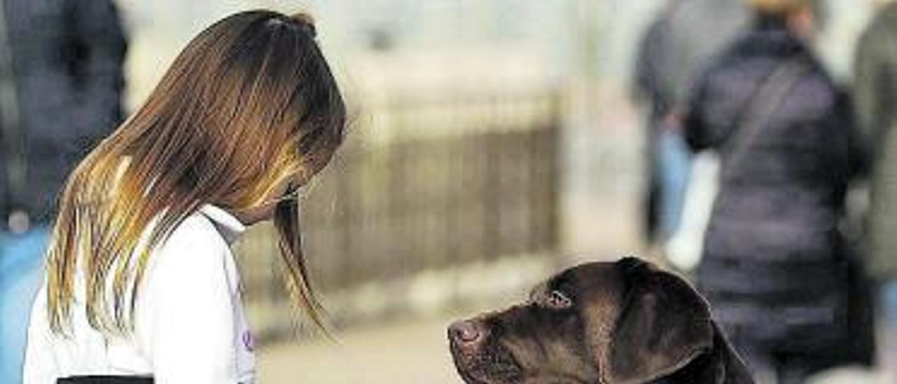 Una niña con autismo, con su perro de asistencia, en el País Vasco.