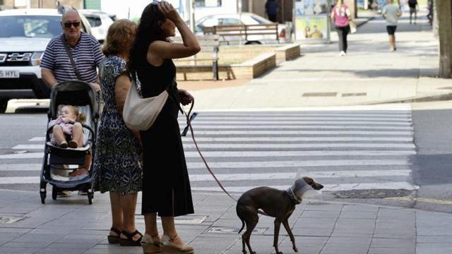 Una mujer pasea a su perro por una calle de La Calzada. | MARCOS LEÓN