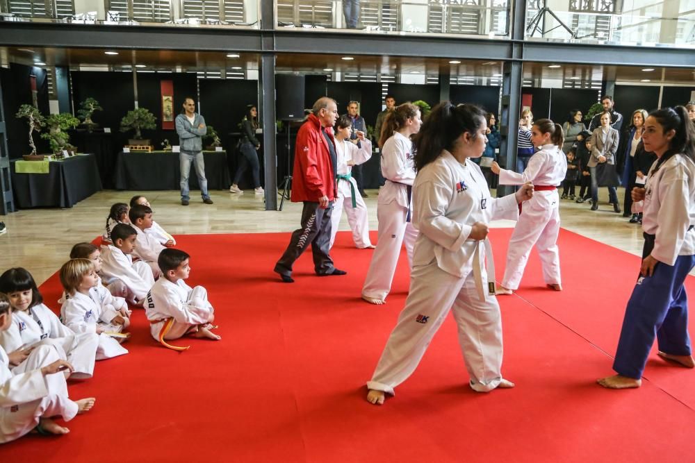 Una exposición muestra 62 ejemplares en La Lonja, algunos con 200 años de antigüedad y exhibición de artes marciales