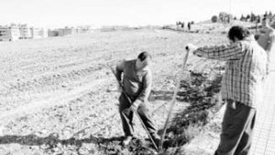 La escombrera del cementerio cacereño se elimina, pero el nuevo parque tendrá que esperar