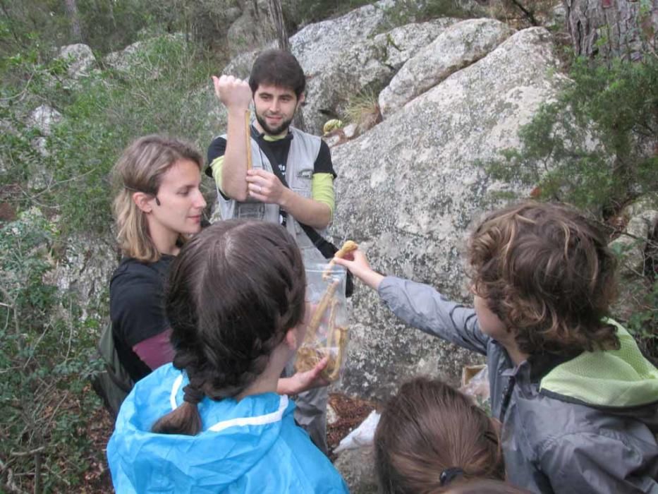 200 personas descubren los secretos del poljé del Pla de Corona en el Geolodía