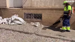Visto y no visto: así recogen el confeti de 'la rodà' de les 'Alfàbegues' en Bétera