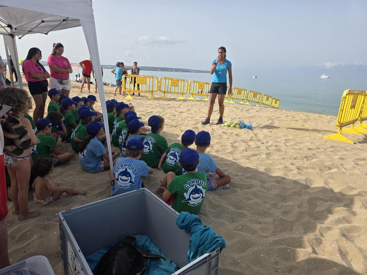 Die Kinder des Palma Aquarium Sommercamps waren bei der Freilassung von Nura dabei.