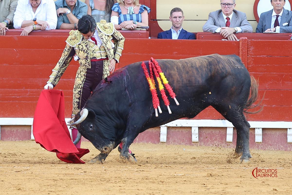 Morante de la Puebla en uno de sus lotes.