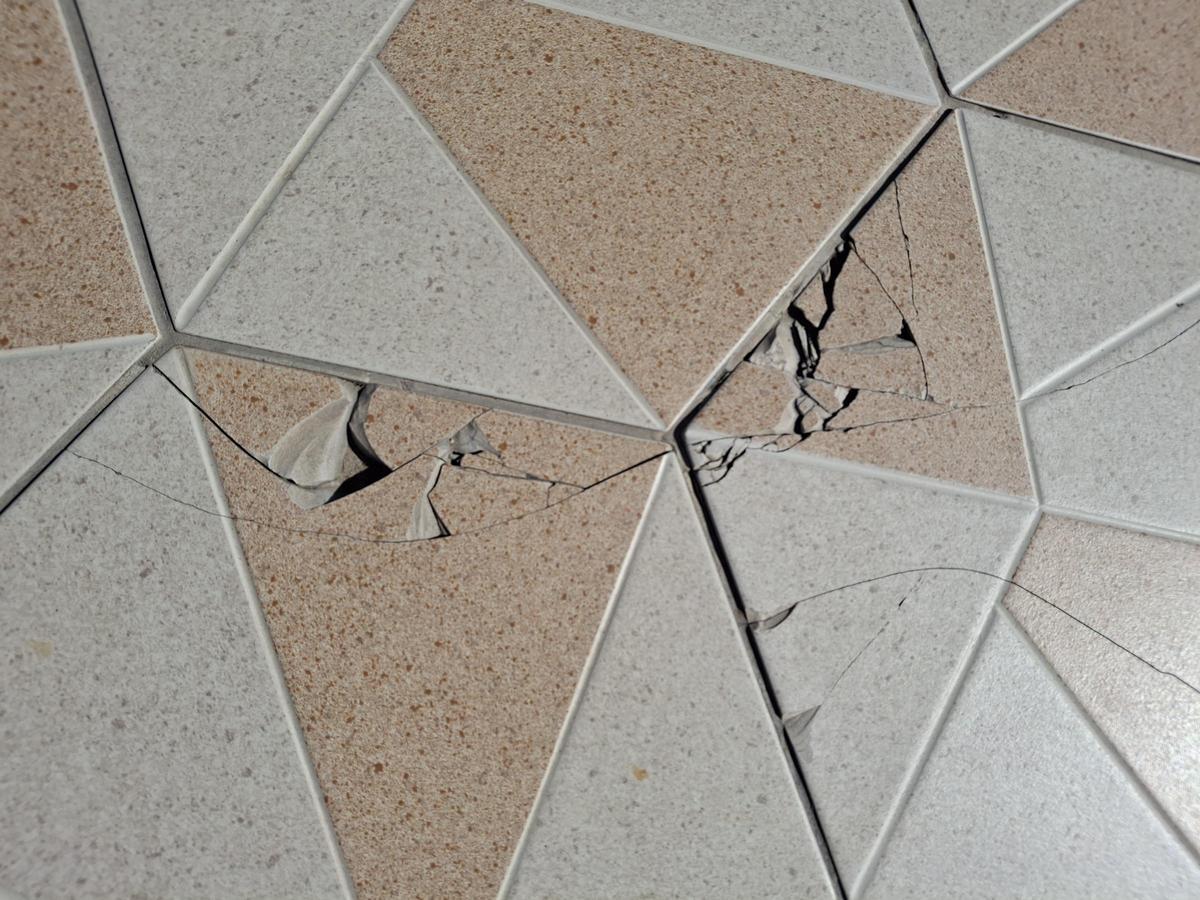 Detalle de una baldosa resquebrajada