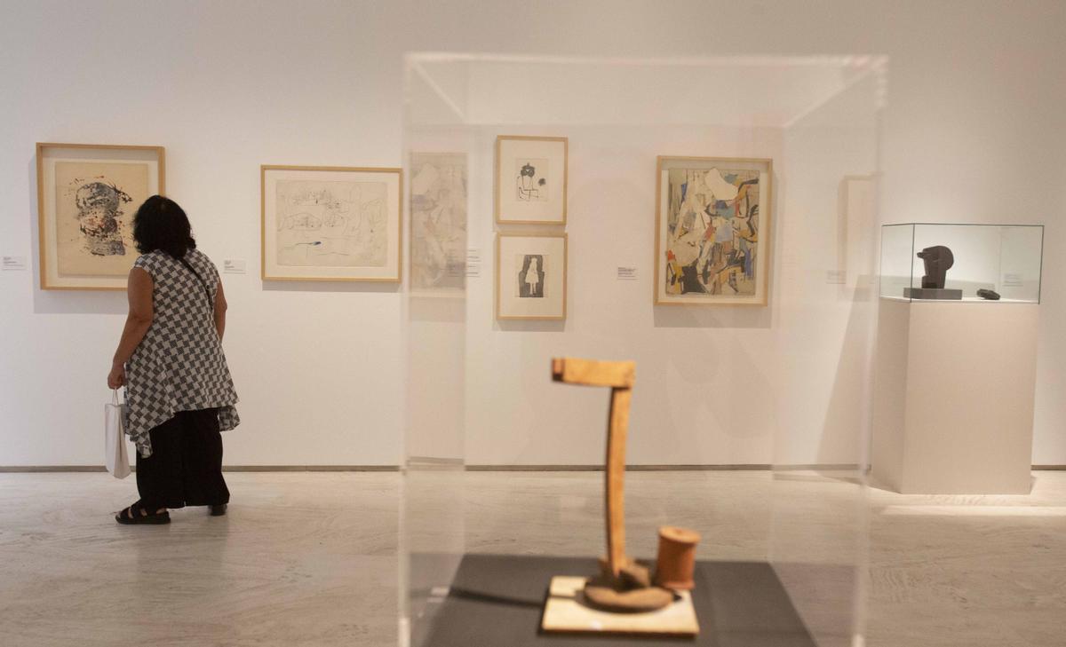 Exposición "Arte en una tierra baldía" en el MACA, con fondos del IVAM