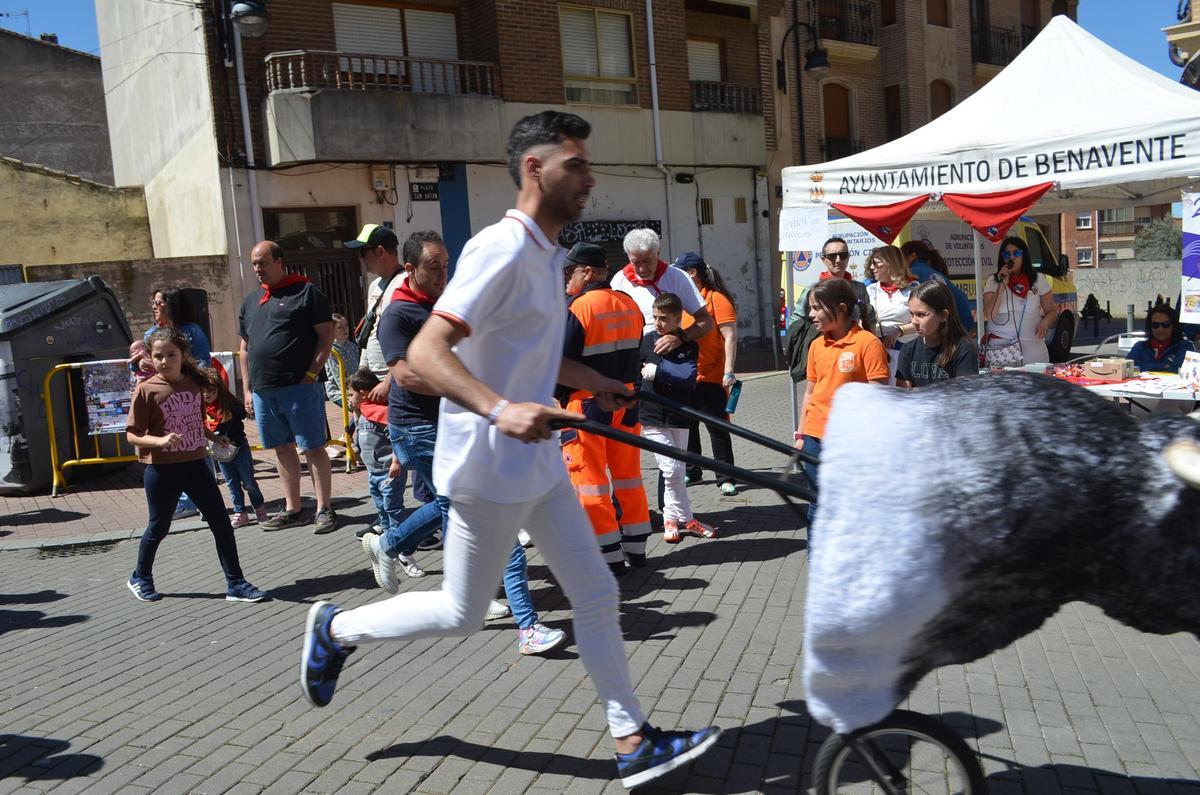 GALERIA | Así de bien lo pasan en Benavente con las Escuelas Taurinas de Gente del Toro