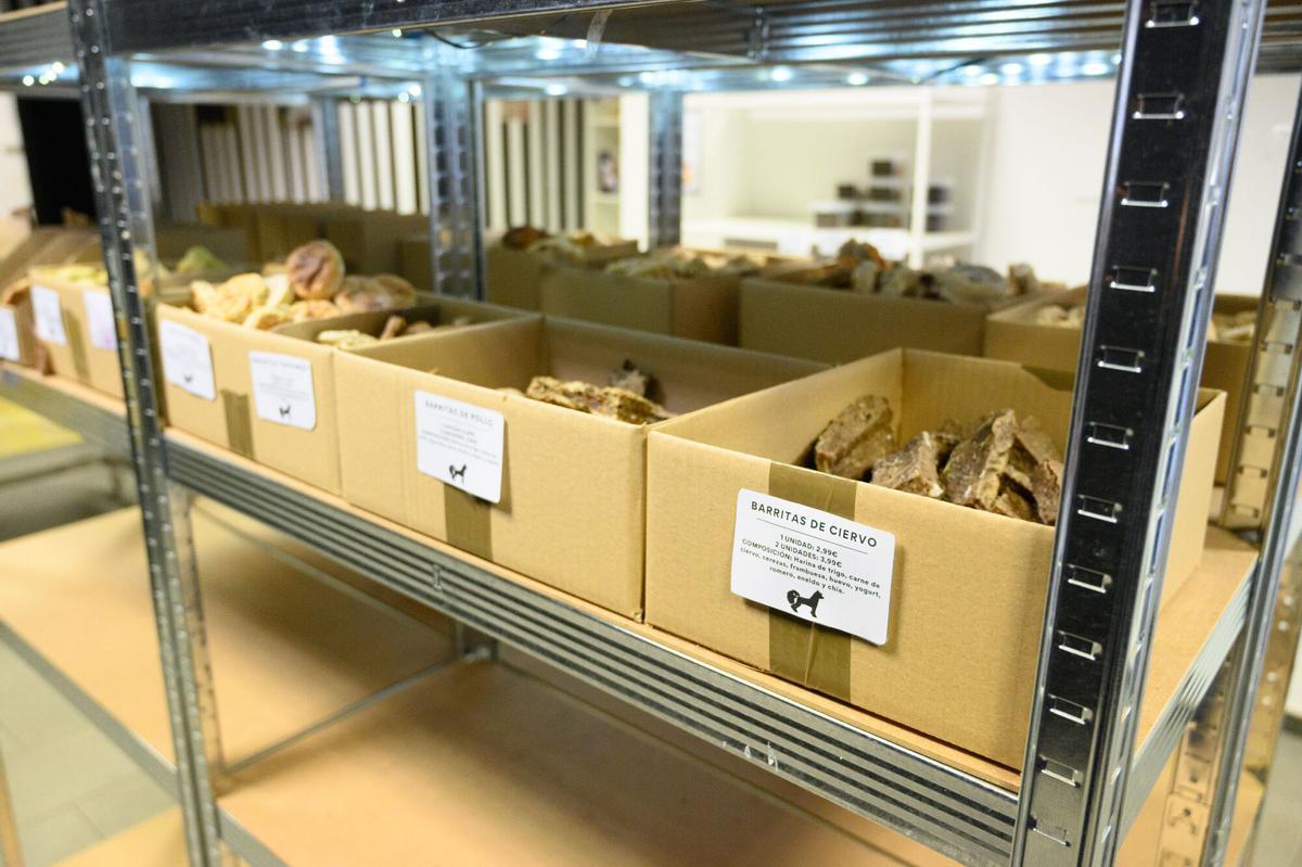 En imágenes | Así es la primera pastelería para mascotas en Aragón