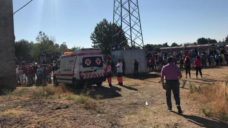 Herido un joven tras sufrir una cogida en el Toro de la Vega