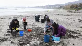 Galicia eleva la alerta para que el Estado intercepte en el mar “cientos de sacos de pellets” antes del sábado