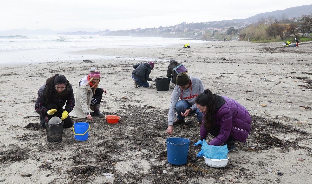 Galicia eleva la alerta para que el Estado intercepte en el mar &quot;cientos de sacos de pellets&quot; antes del sábado