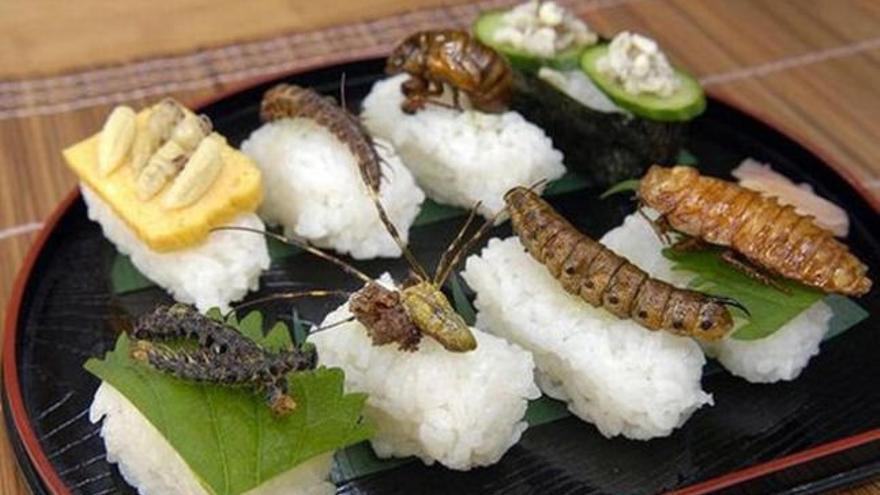 Platos de sushi con insectos