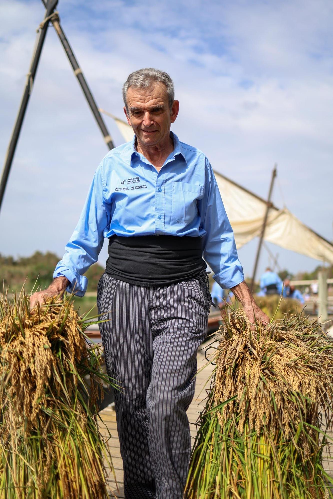 El puerto de Catarroja reúne a 5.000 personas en la Fiesta de la siega del arroz