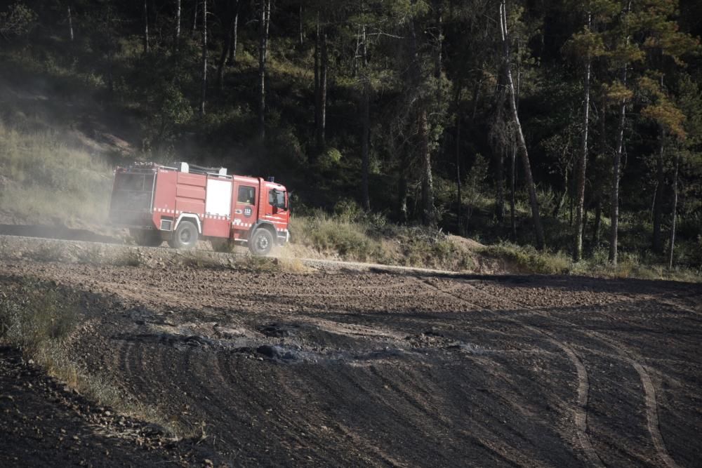 Incendi forestal a Sant Feliu Sasserra