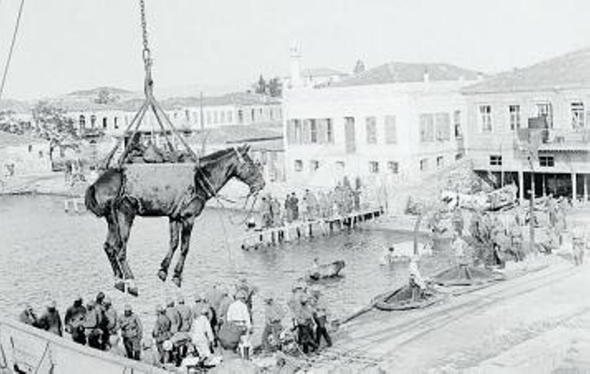 Caballo descargado en el puerto turco de Çanakkale, en 1917.