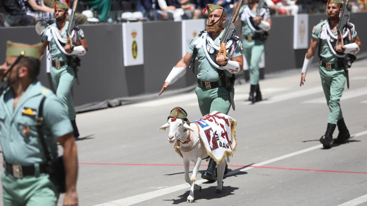 Los legionarios con &#039;Killo&#039;, su mascota.