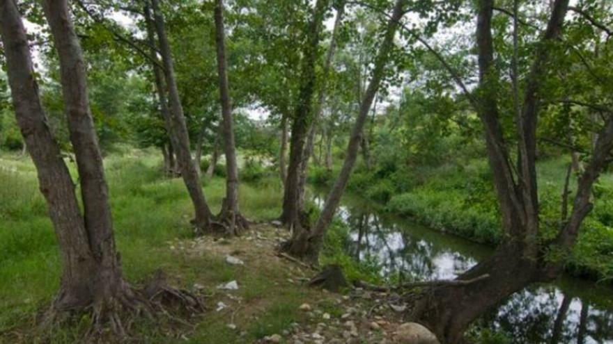 Parcs destaca la important funció com a connector biològic del riu Llobregat d&#039;Empordà