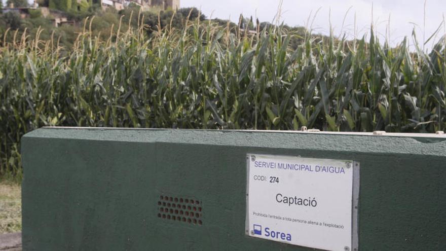 Un dels pous de captació d&#039;aigua de Castell d&#039;Empordà contaminat per herbicides, envoltat de conreus de blat de moro que s&#039;han assenyalat com a possibles causants de la contaminació.