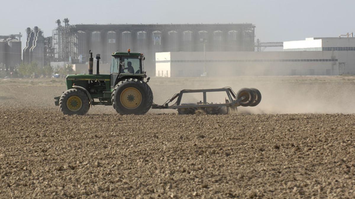 Un tractor rotura un arrozal en Deltebre.