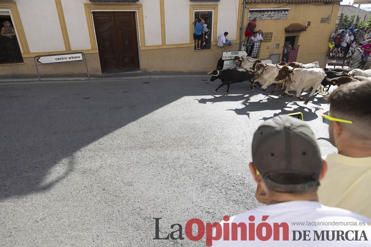 Cuarto encierro en las Fiestas de Moratalla