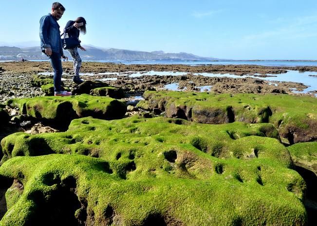 MAREA BAJA LAS CANTERAS