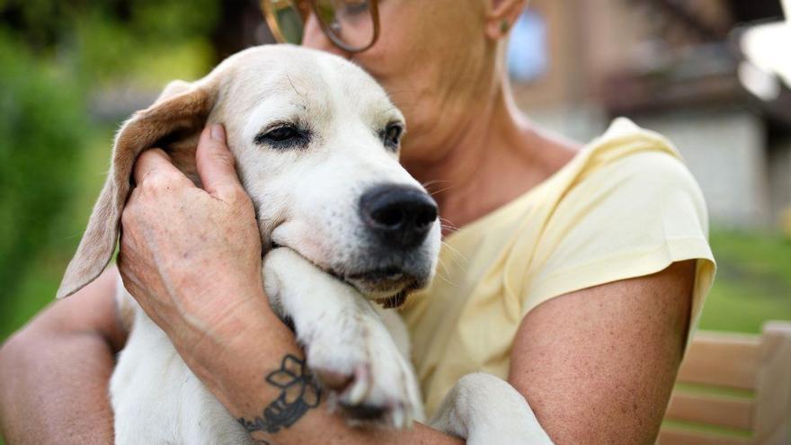 La ley es clara: está prohibido enterrar mascotas en el campo y las multas pueden alcanzar los 60.000 euros
