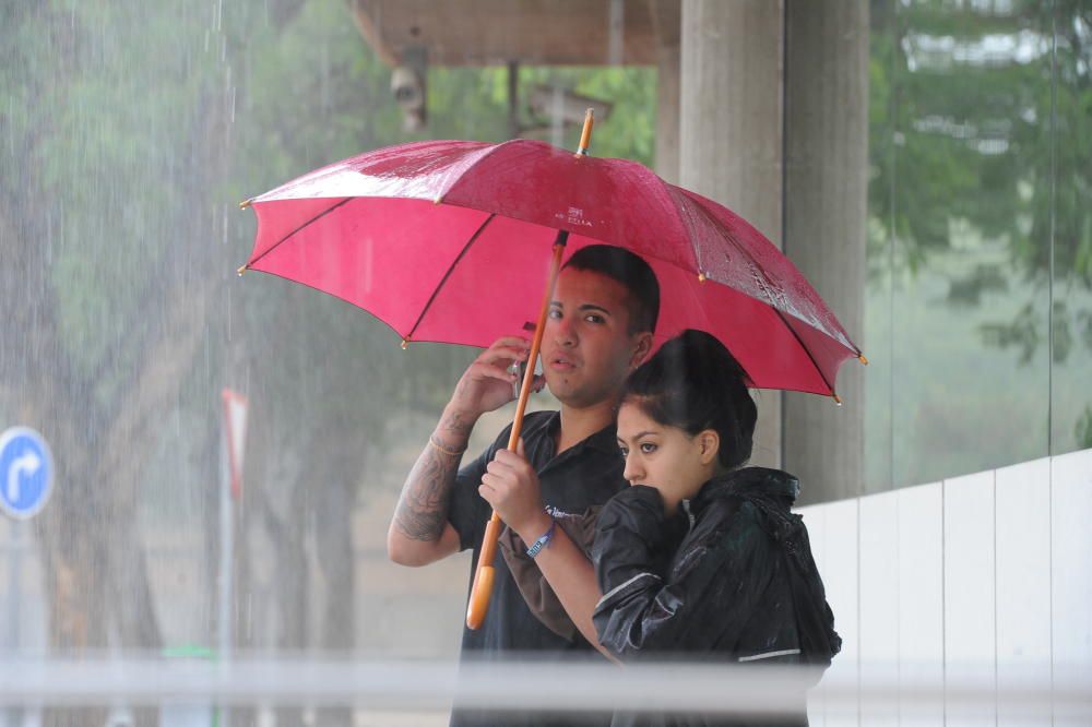 El granizo visita la capital murciana este sábado.