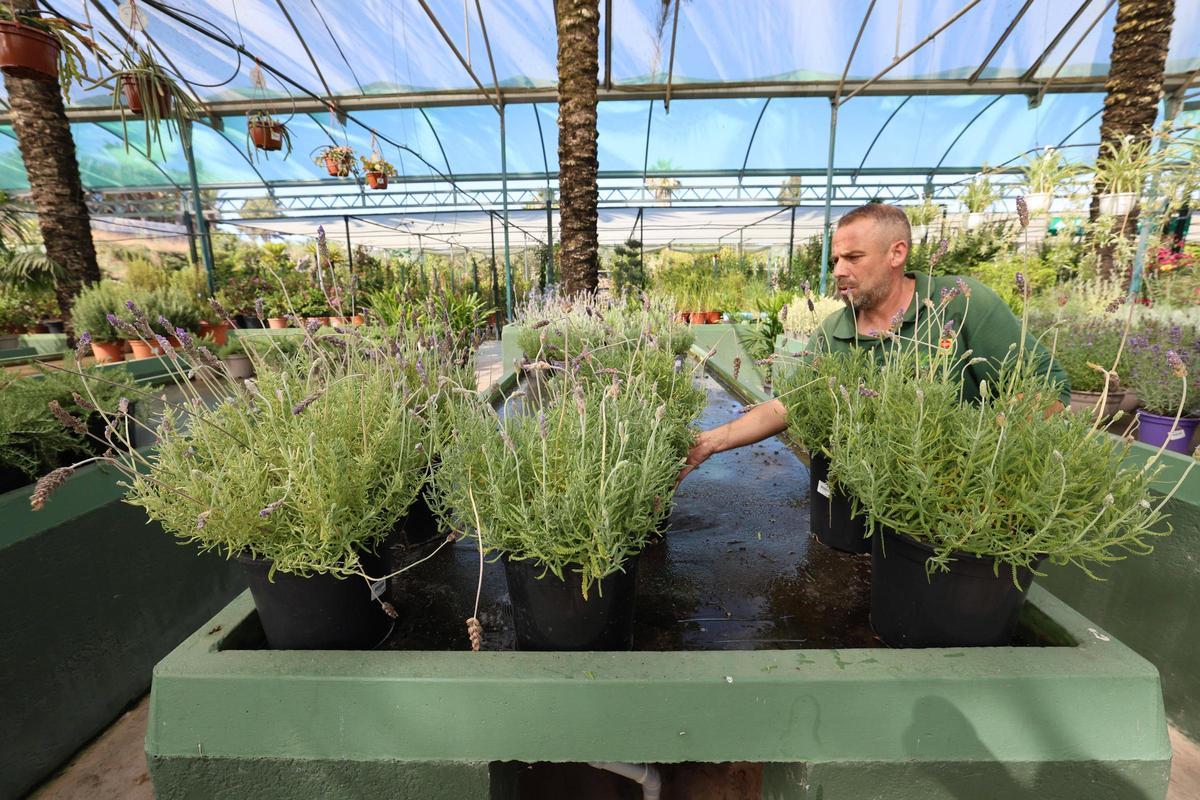 Fabián Gómez cuidando unas plantas