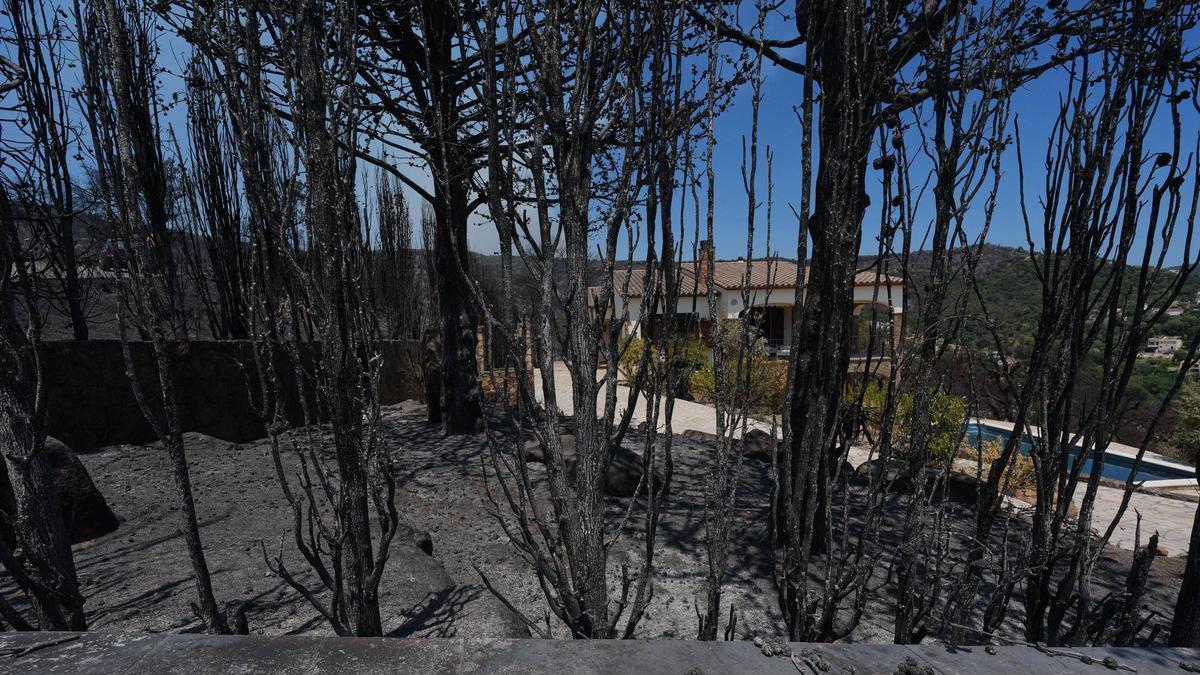 L'incendi de les Gavarres.