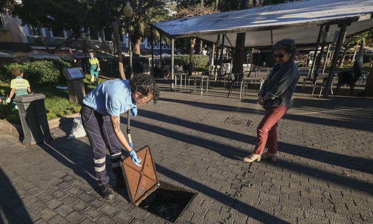 Trabajos de desratización en la zona del parque de Santa Catalina, en Las Palmas de Gran Canaria Trabajos de desratización en la zona del parque de Santa Catalina, en Las Palmas de Gran Canaria
