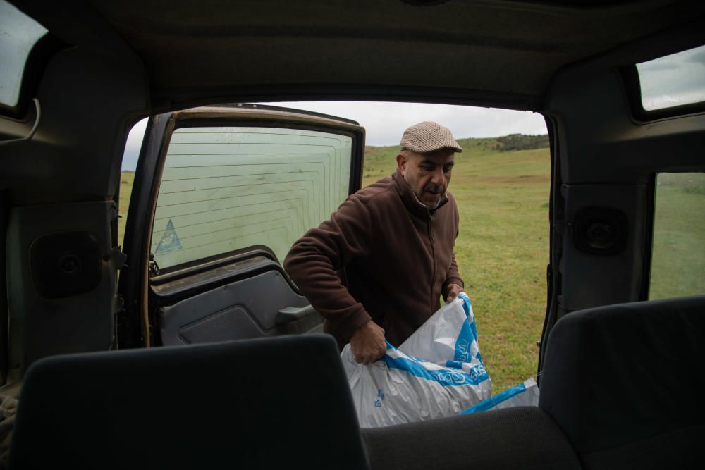 Los festejos taurinos corneados por la pandemia