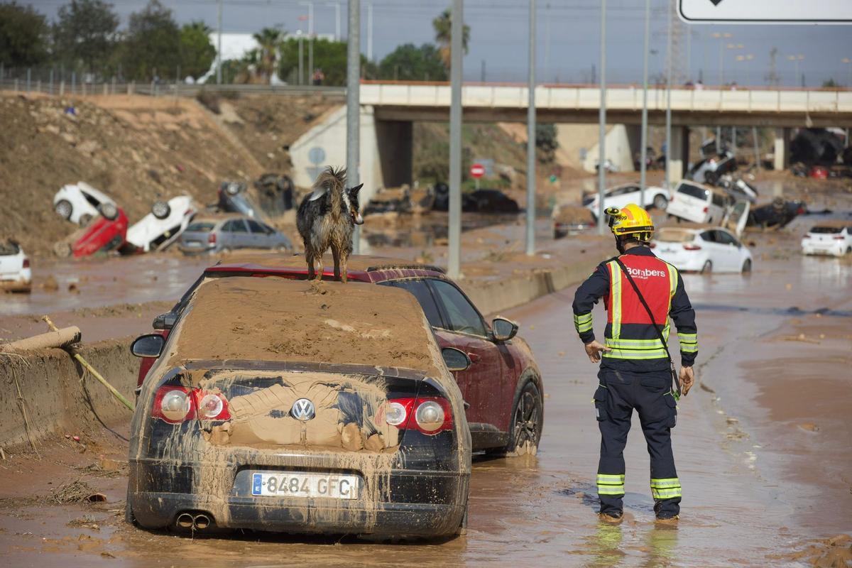 Así está la situación en Algemesí, Torrent y Paiporta tras el paso de la DANA