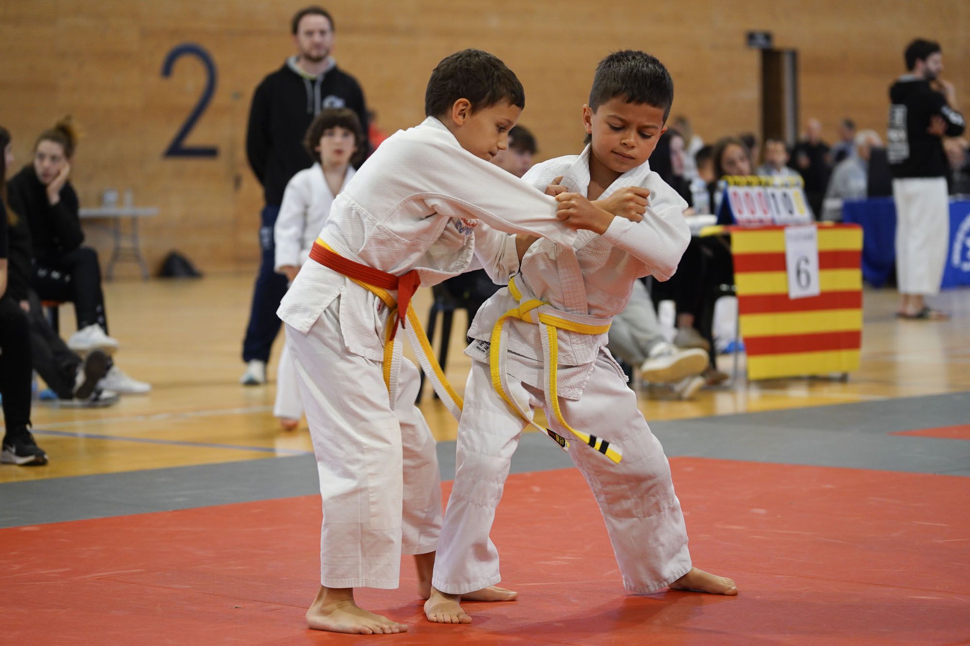 Les imatges del torneig infantil de judo de l'Escola 7