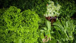 Verduras de hojas verdes.