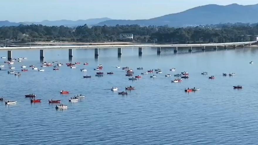 Campaña de libre marisqueo en la ría de Arousa.