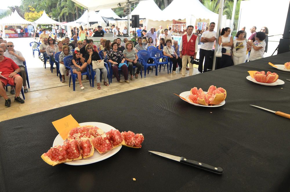 Concurso de pelar granadas en la Fireta del Camp d''Elx.