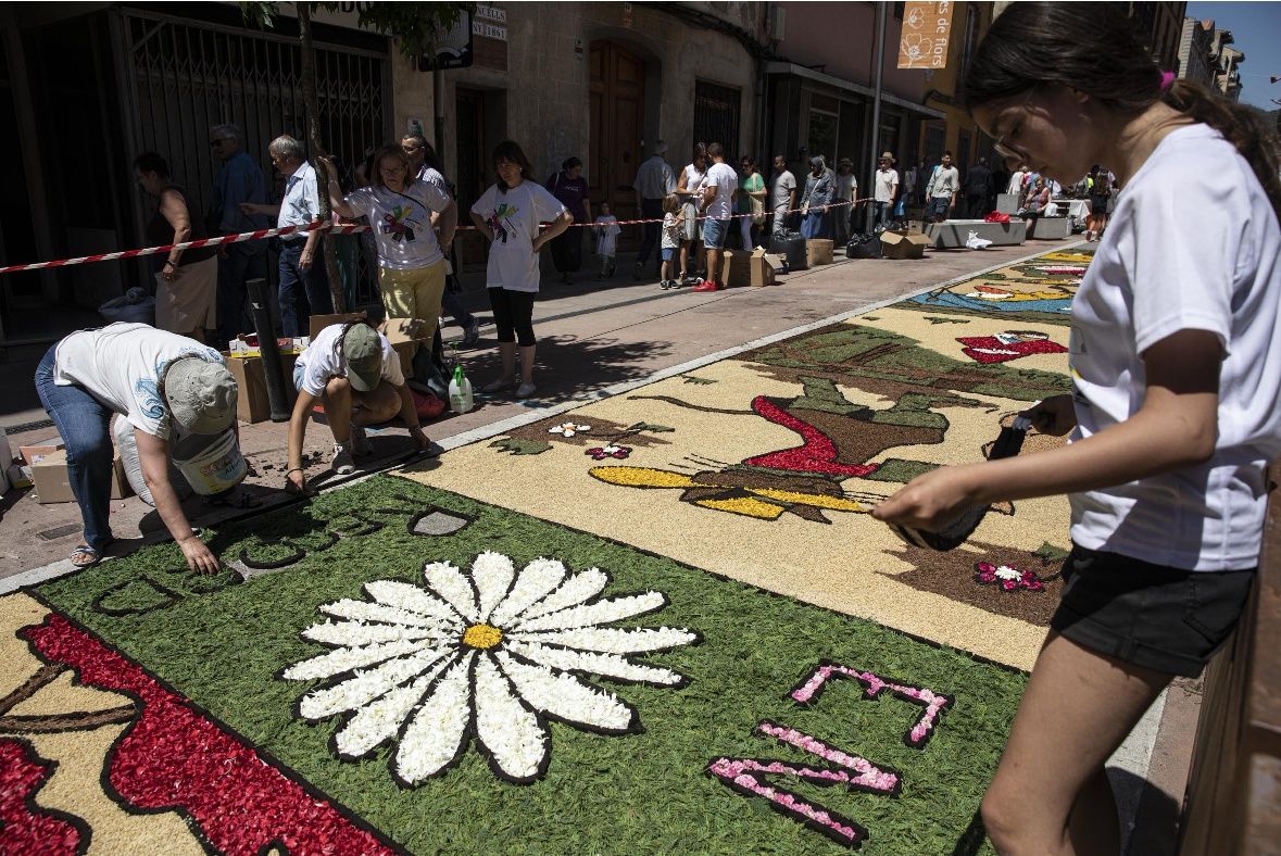 Catifes de flors d'Arbúcies